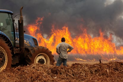 FILE PHOTO: A man watches fire consume a sugar cane plantation near the city of Dumon, Brazil, in August 2024. 