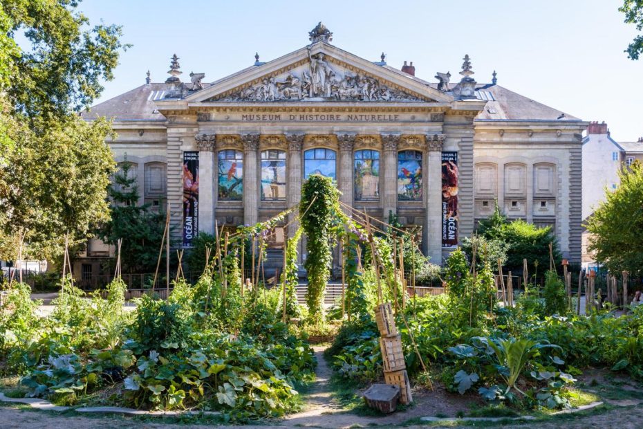 Museo de Historia Natural de Nantes.