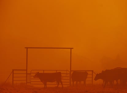 Fires in San Francisco