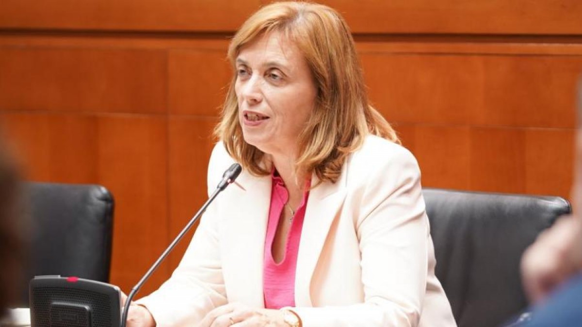 Nuria Gayán, general director of Public Health of the Government of Aragon.