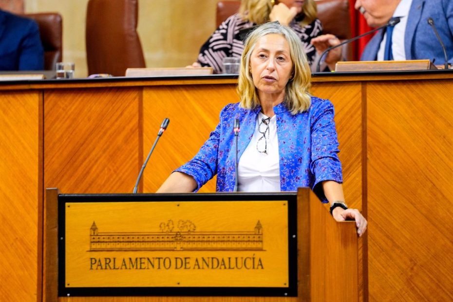 The Minister of Health defends the "improvement process" of Andalusian healthcare and the "honest management" of "public money"