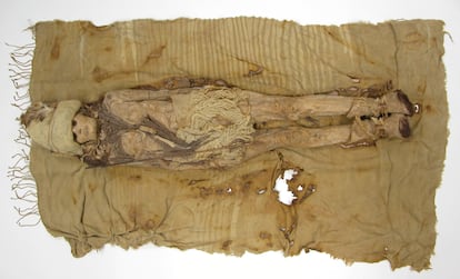 A mummy from Xiaohe Cemetery, and dairy remains scattered around the mummy's neck.